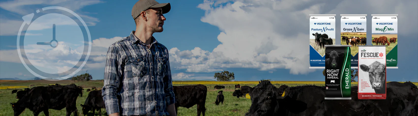 Timeless Style, Southern Soul