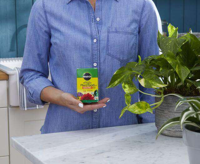 Miracle-Gro® Water Soluble All Purpose Plant Food - Image 3