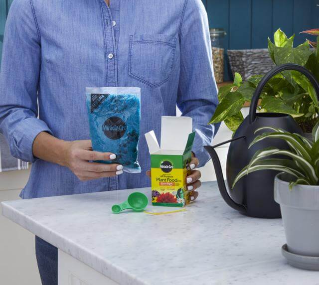 Miracle-Gro® Water Soluble All Purpose Plant Food - Image 4