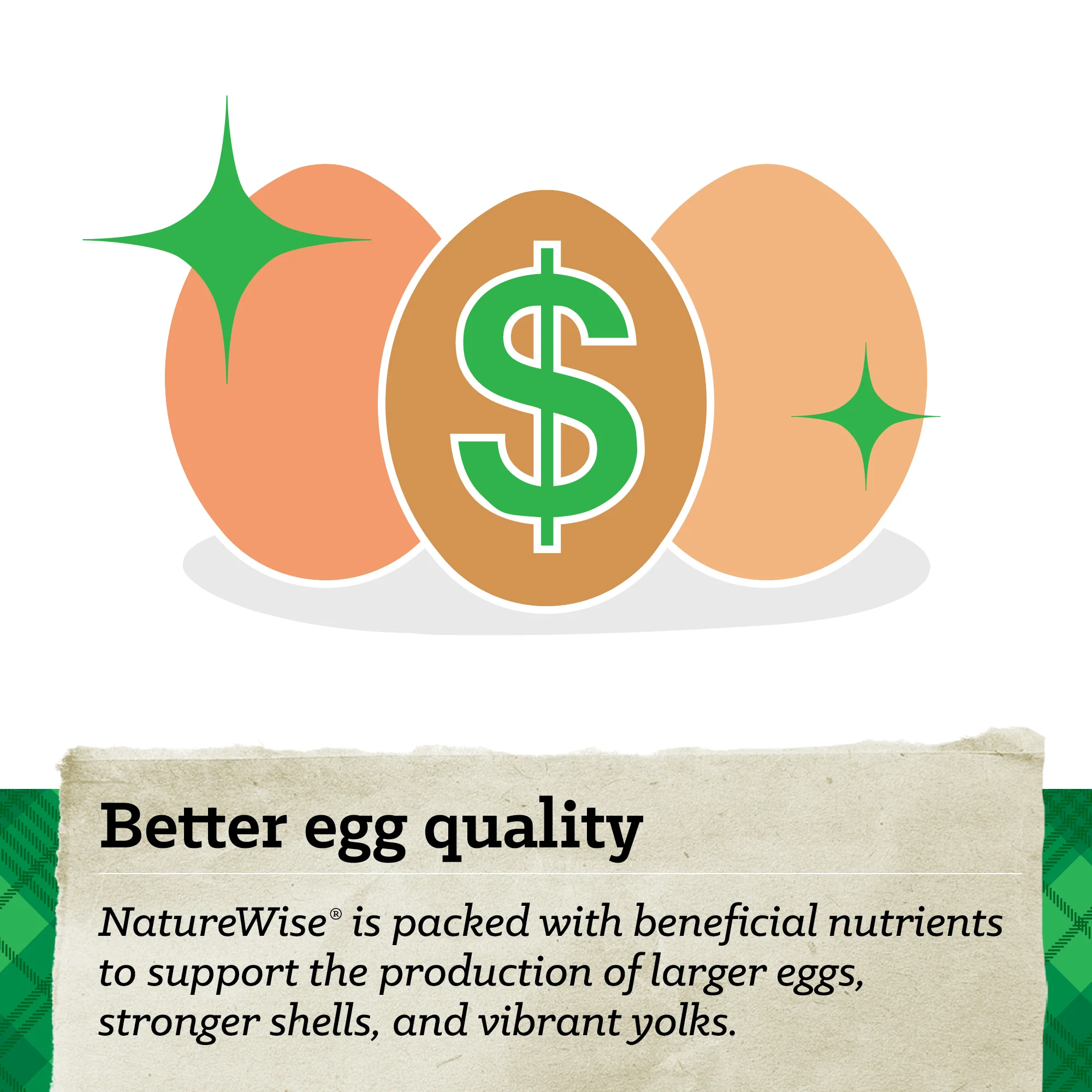 NatureWise® 17% Protein Layer Pellet Poultry Feed - Image 10