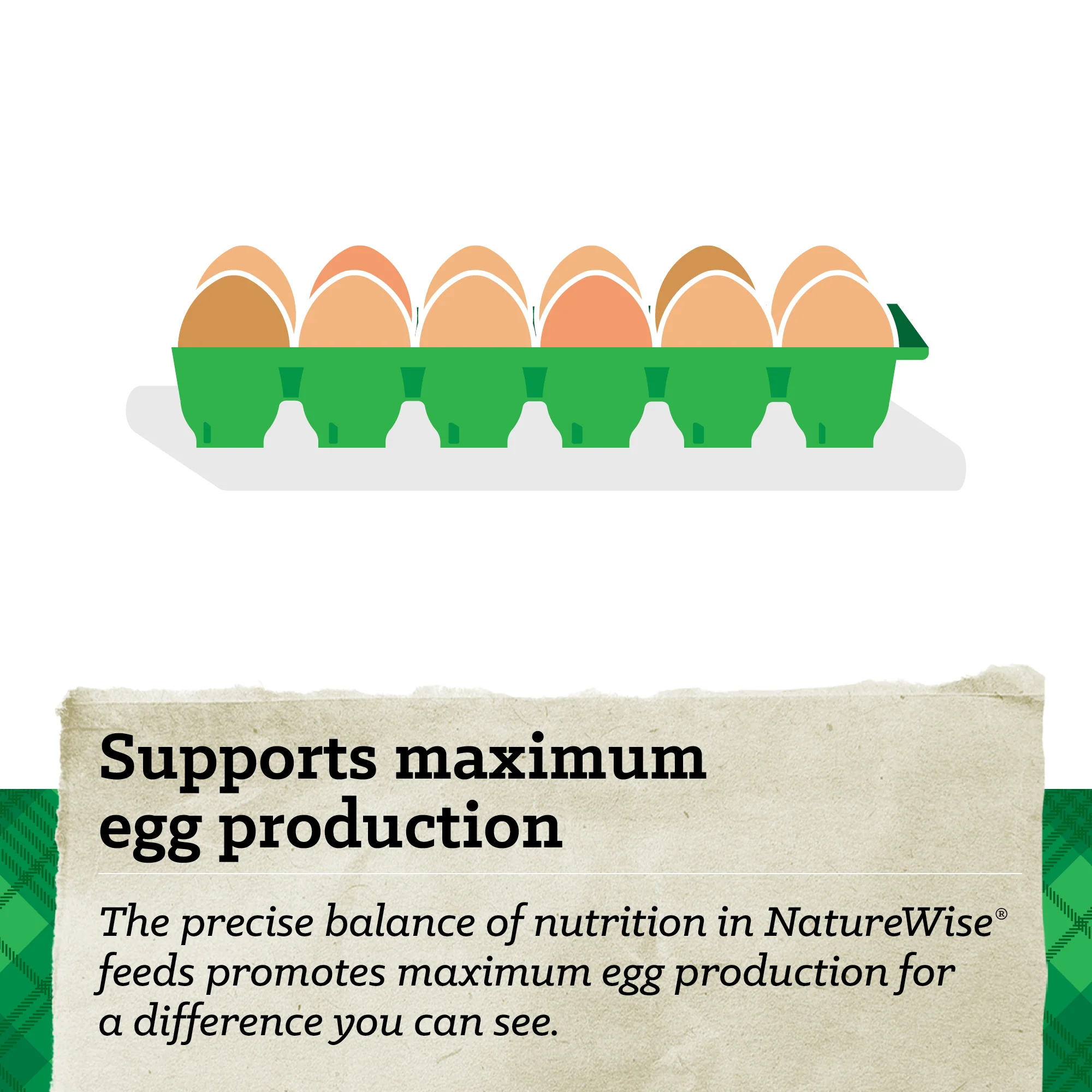 NatureWise® 17% Protein Layer Pellet Poultry Feed - Image 11