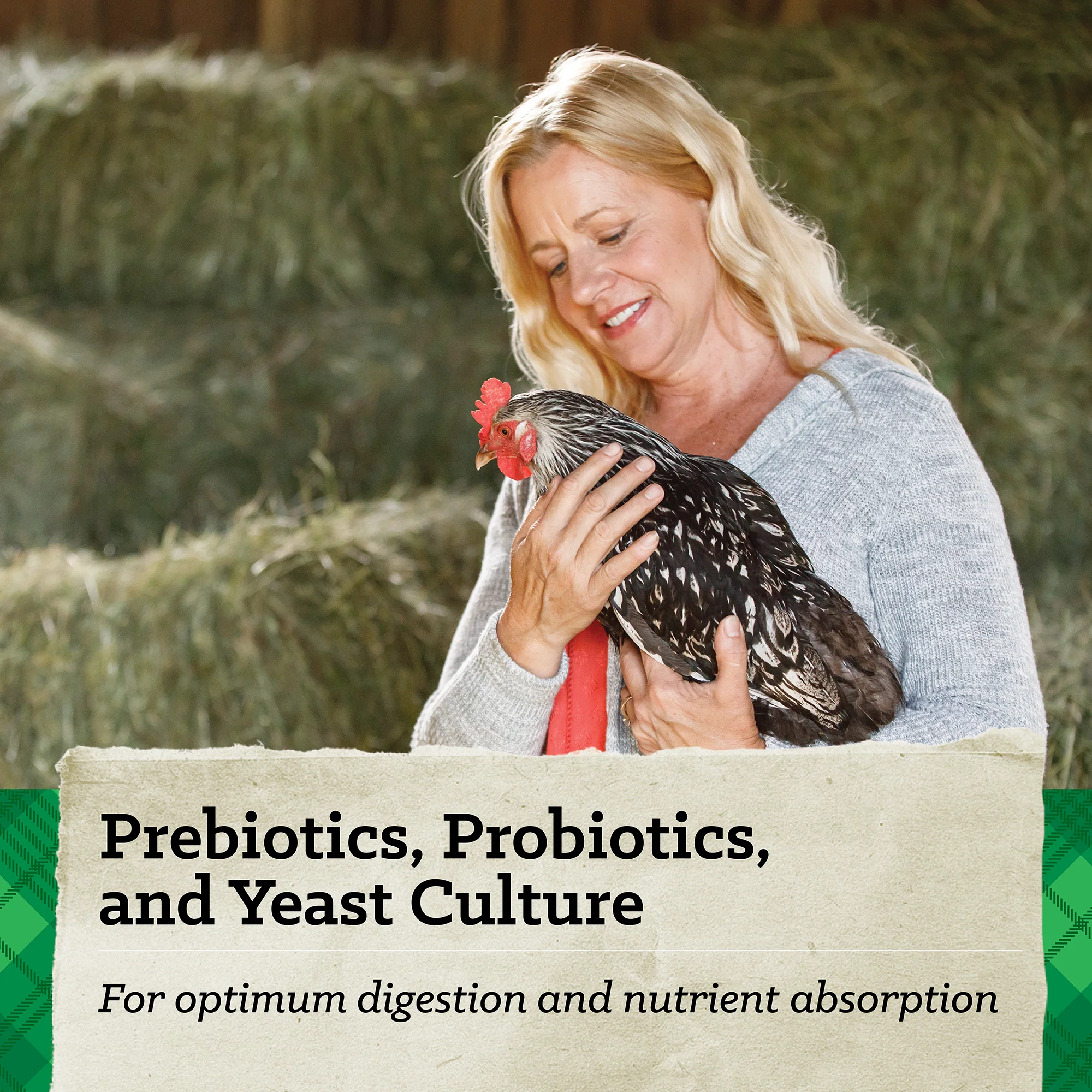 NatureWise® 17% Protein Layer Pellet Poultry Feed - Image 6