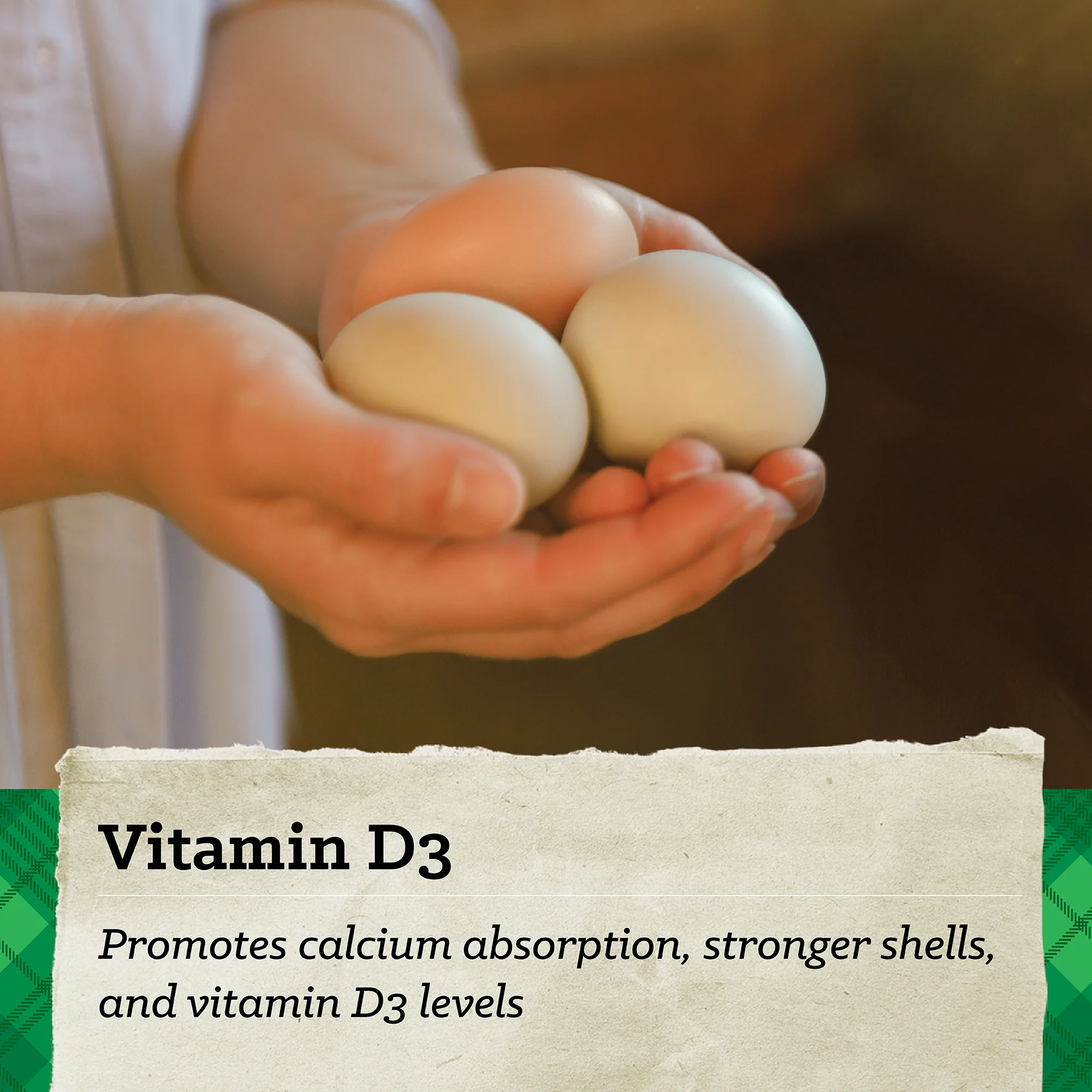 NatureWise® 17% Protein Layer Pellet Poultry Feed - Image 8