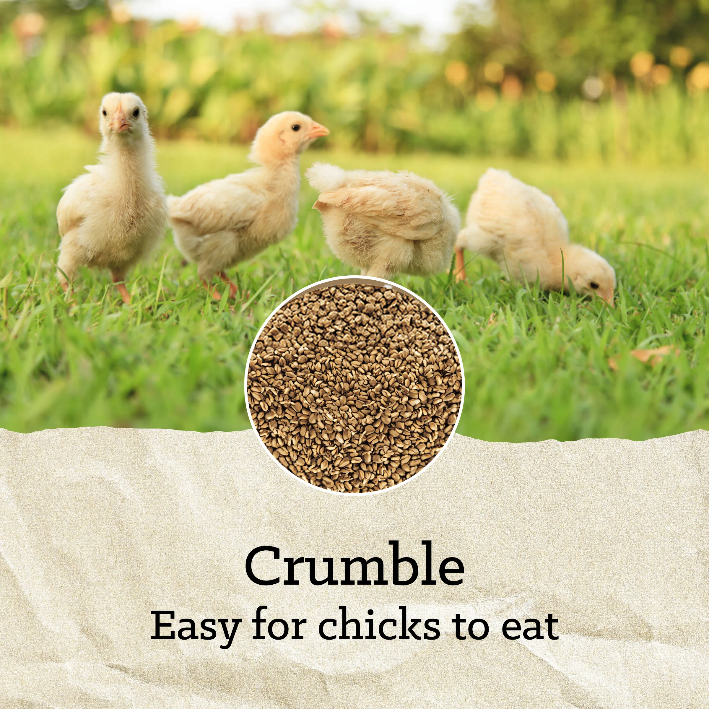 NatureWise® Chick Starter Grower 18% Protein Crumble Medicated - Image 11