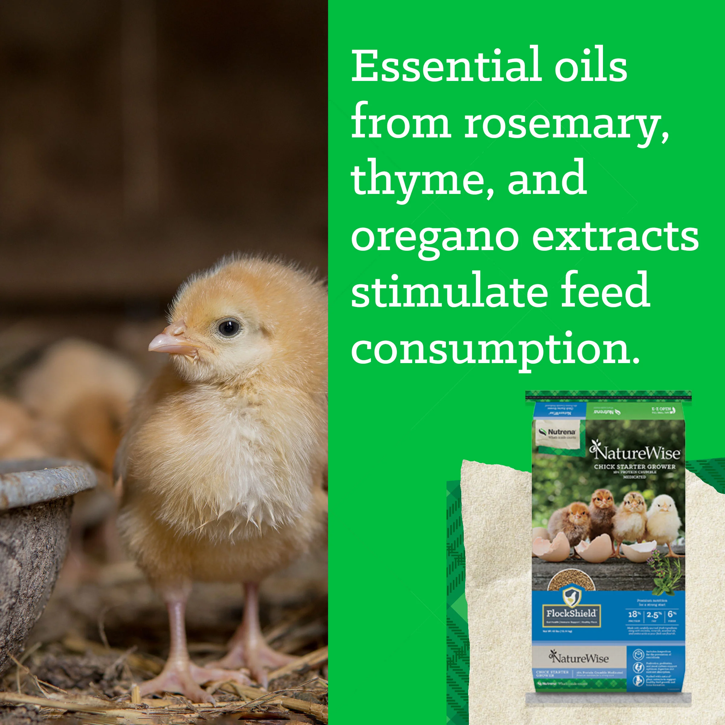 NatureWise® Chick Starter Grower 18% Protein Crumble Medicated - Image 9