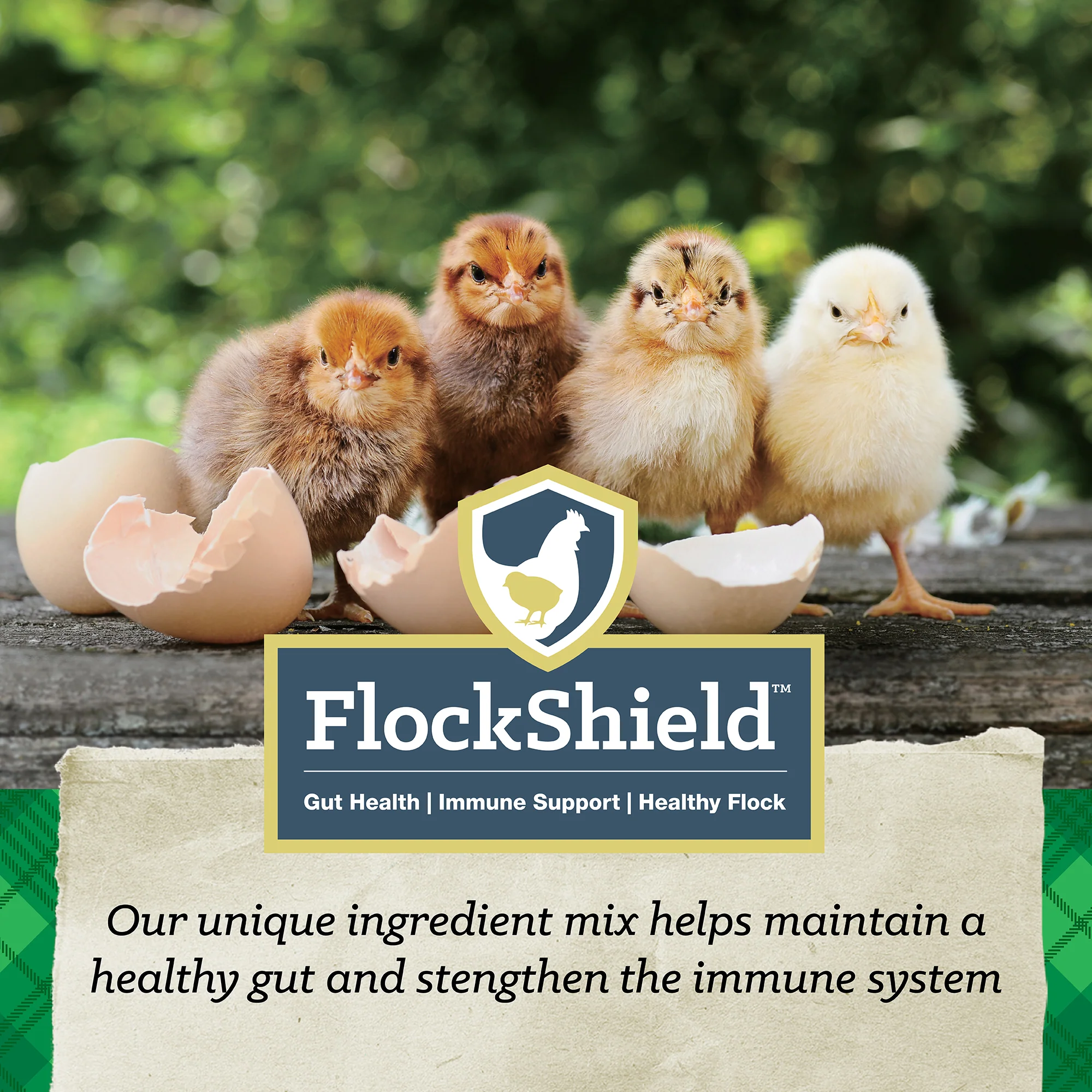 Nutrena® NatureWise® Chick Starter Grower 18% Protein Crumble Feed - Image 10