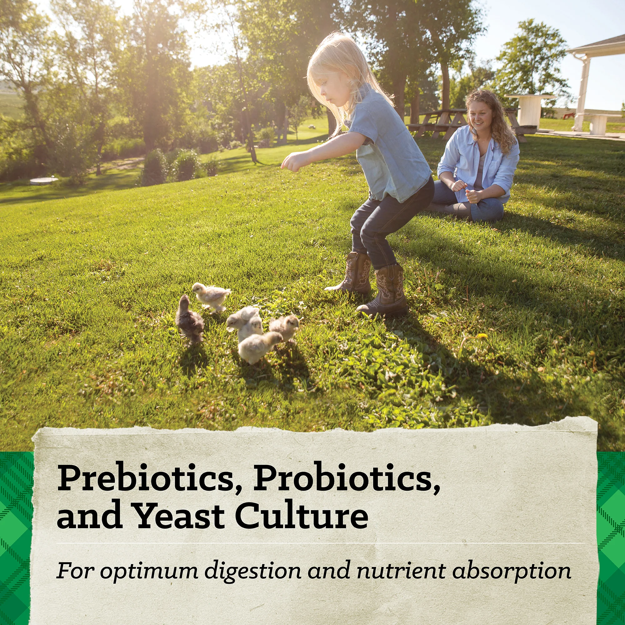 Nutrena® NatureWise® Chick Starter Grower 18% Protein Crumble Feed - Image 11