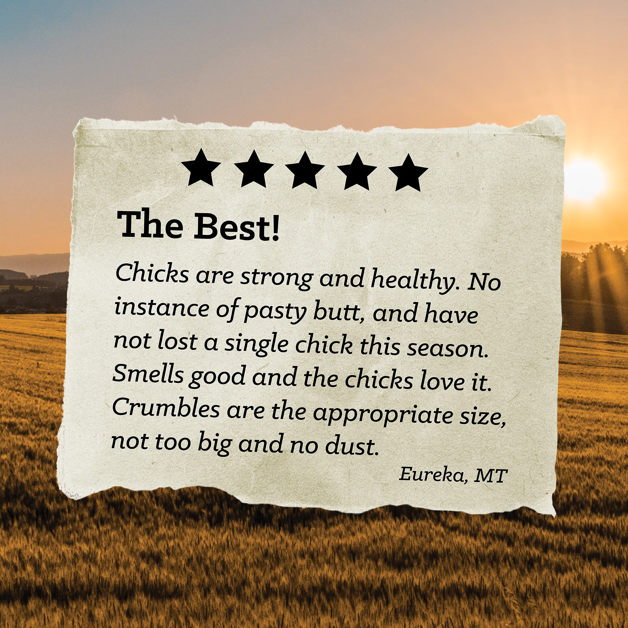 Nutrena® NatureWise® Chick Starter Grower 18% Protein Crumble Feed - Image 6