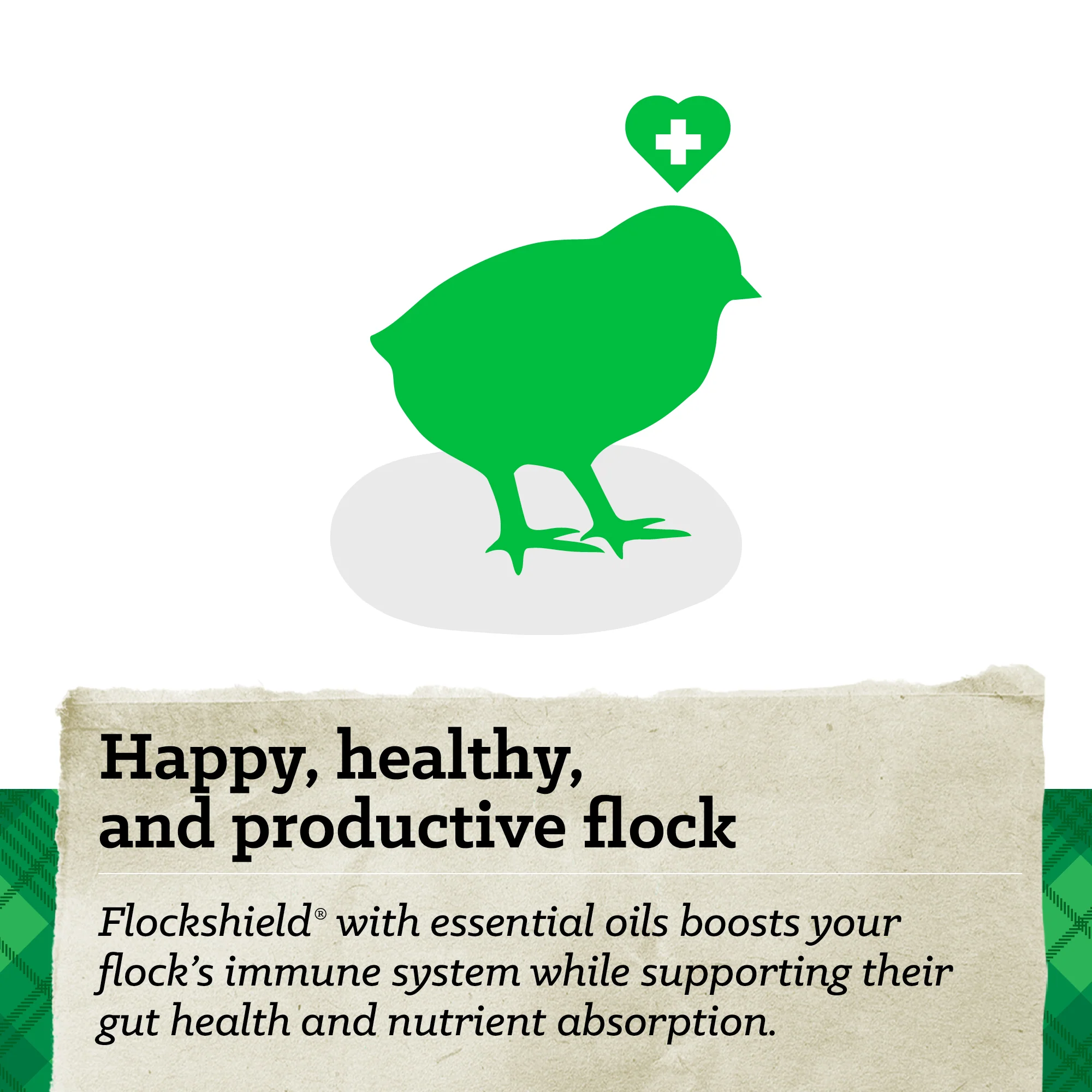 Nutrena® NatureWise® Chick Starter Grower 18% Protein Crumble Feed - Image 8