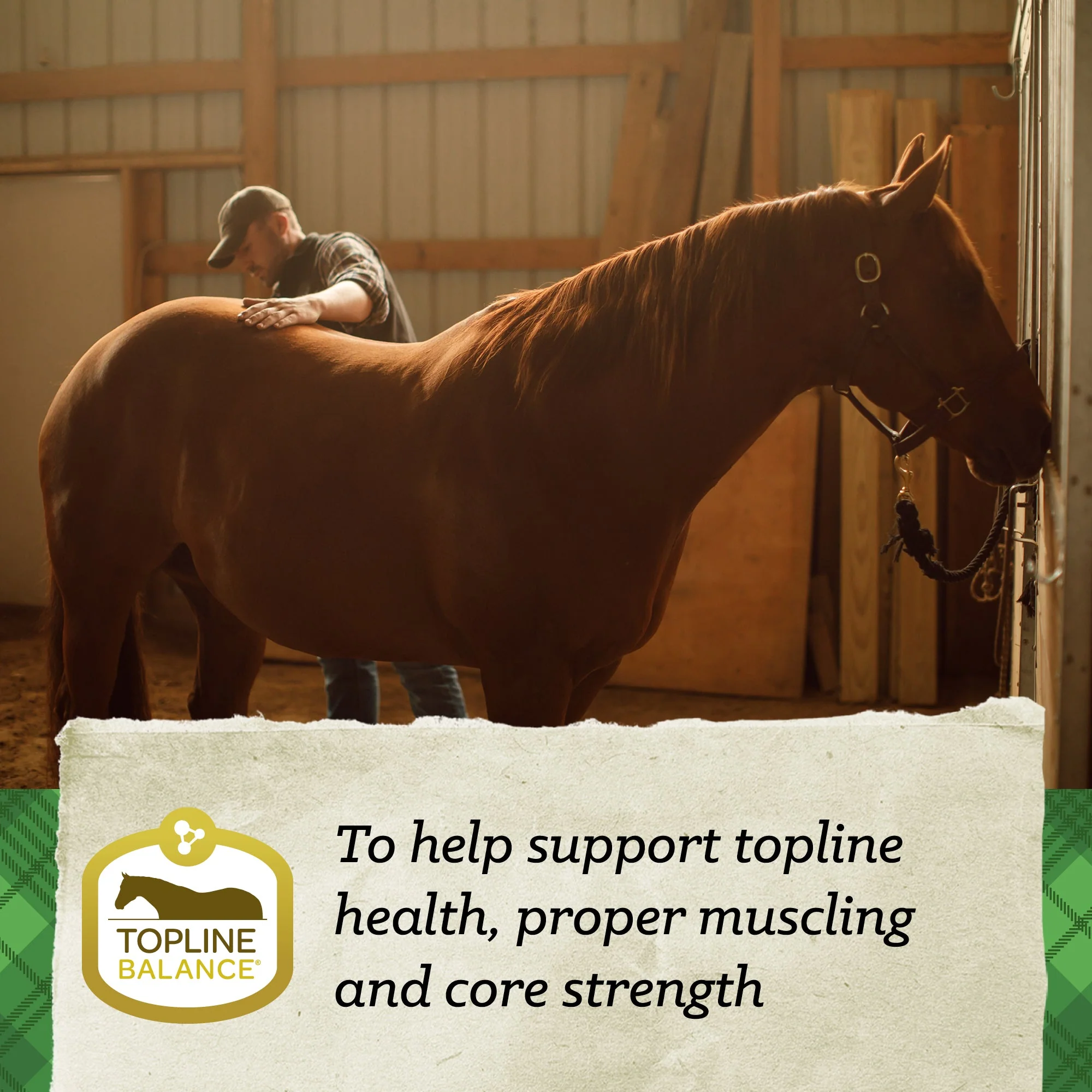 Nutrena® SafeChoice® All Life Stages - Image 8